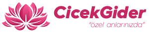 Çiçek Gider logo