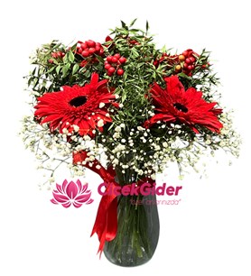 Silindir, Cam Vazoda, Kokina, Gerberalar