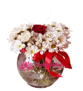 Fanus Dolusu Papatya ve Güller