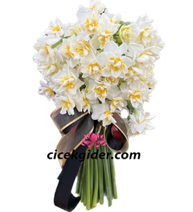 Kokulu Nergis Demeti, Mersin Çiçekçi, Nergis Çiçeği Sipariş,