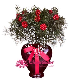 Kırmızı, Kalp, Vazoda,, Yılbaşı, Kokinaları