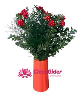 şans kokina çiçek, yılbaşı kokina dekor, kokina mersin, 