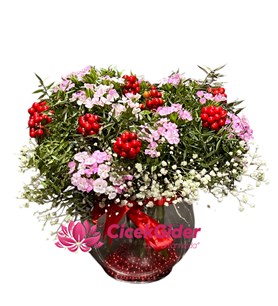 Cam, Fanusta, Hüsnüyusuflar, Kokinalar