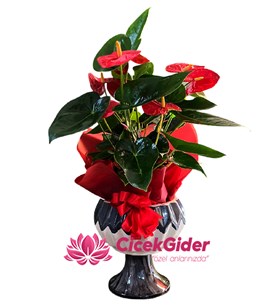 Mersin çiçekçi, Mersin online çiçek siparişi, Mersin çiçek, 