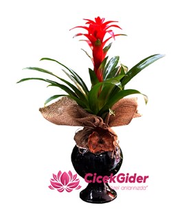 Mersin hızlı çiçek gönder, Mersin uygun fiyatlı çiçek, 