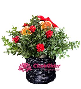 Kokina çiçek siparişi, Yılbaşı şans çiçeği, Çiçek Gider, 