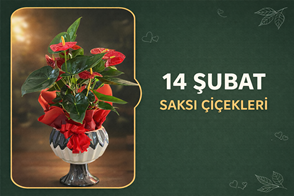 Sürpriz doğum günü hediyesi göndermek isteyenler için en kaliteli çiçekleri hazırladık. Kampanyaları kaçırmayın hemen sipariş oluşturun.