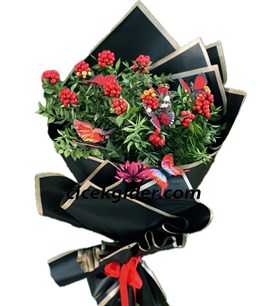 Kokina Demeti Kelebekli